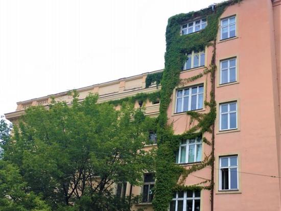 Fotogalerie
