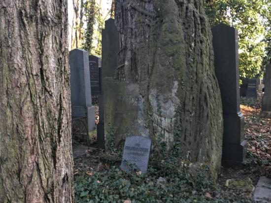 Nový židovský hřbitov – komentovaná vycházka 14. 2. 2022
