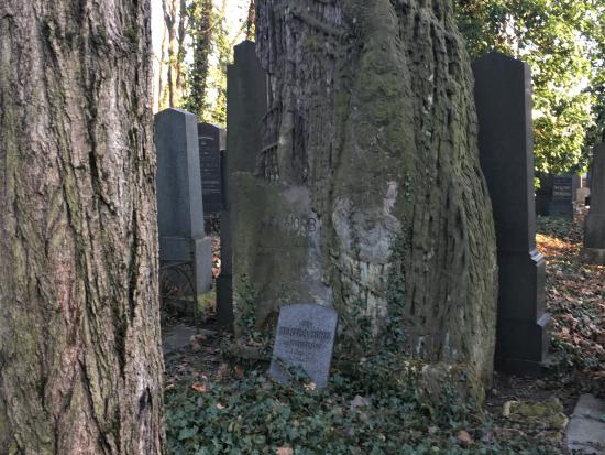 Nový židovský hřbitov – komentovaná vycházka 14. 2. 2022
