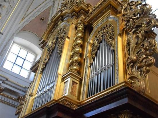 Varhanní koncert s prohlídkou varhan ve sv. Ignáci