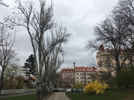 Za architekturou v okolí Riegrových sadů