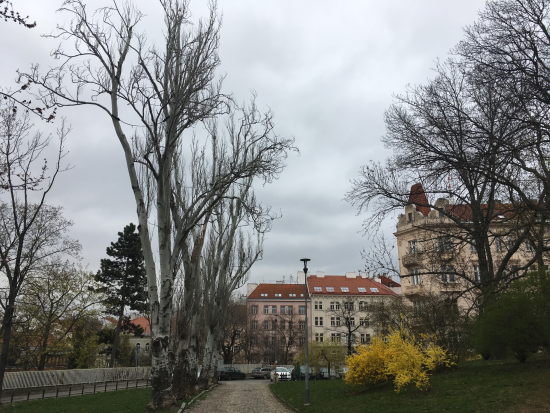 Za architekturou v okolí Riegrových sadů