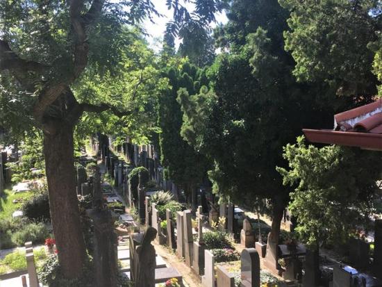 Prohlídka Slavína a hřbitova na Vyšehradě