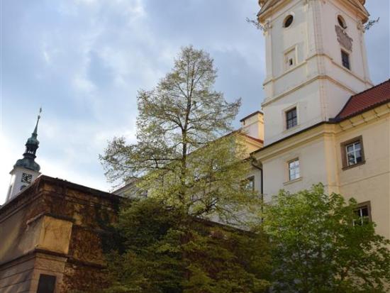 MYSLIVEČEK a MOZART: dva hudební velikáni v Praze