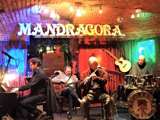 Večer ANKETY 2023, klub Mandragora