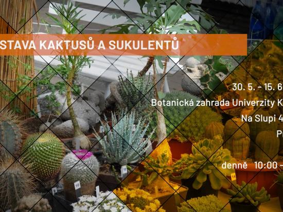 Výstava kaktusů a sukulentů