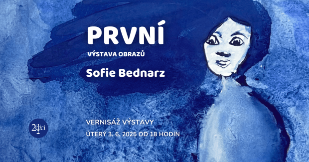 Výstava Sofie Bednarsz, První